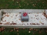 image of grave number 177619